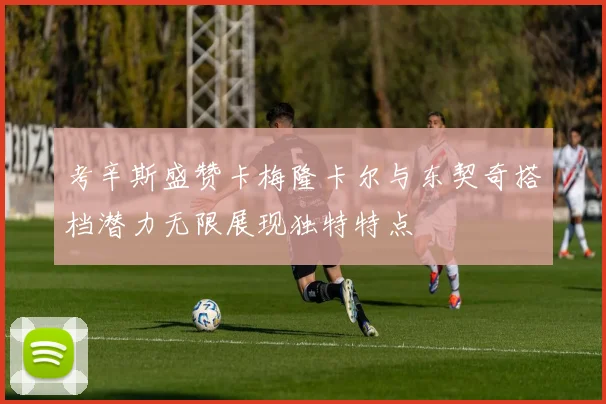考辛斯盛赞卡梅隆卡尔与东契奇搭档潜力无限展现独特特点